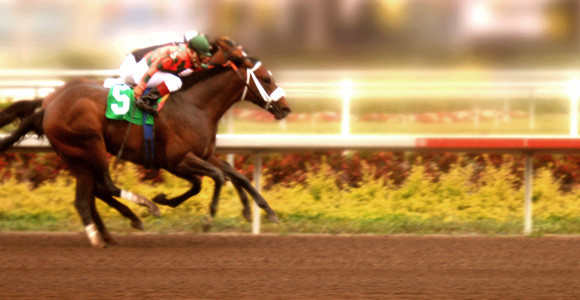 Stop Wasting Time Betting On Sports Until You Read....